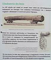 16 - Les arboretums - Roles et missions au 19e siecle (2).jpg